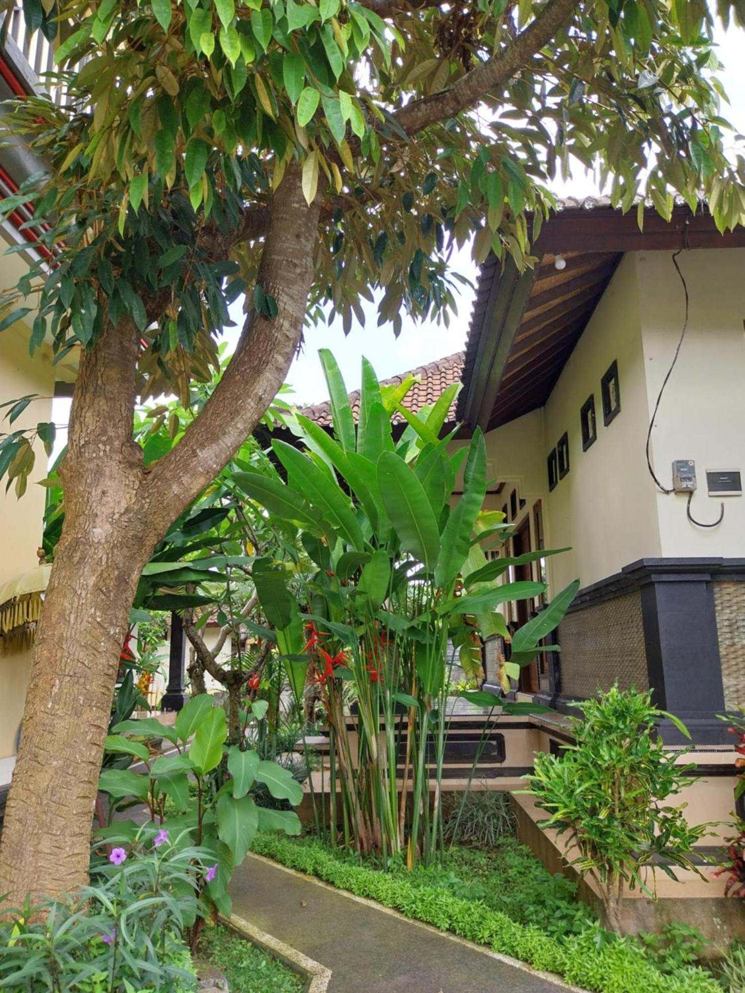 Puri Prana Guest House Ubud Exterior foto